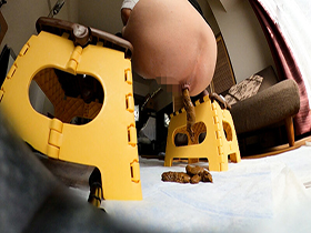 こう見えて私ウンコするんです。オナラも出るんです。　サンプル画像05